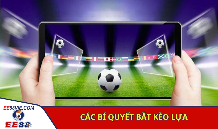 Kèo Lựa Ăn Bao Nhiêu? Bí Quyết Đánh Kèo Lựa Bất Bại 4 Các bí kíp giúp người chơi bắt kèo lựa thành công
